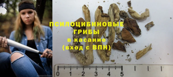 гидропоника Алзамай