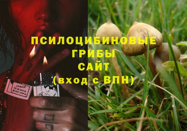 гидропоника Алзамай