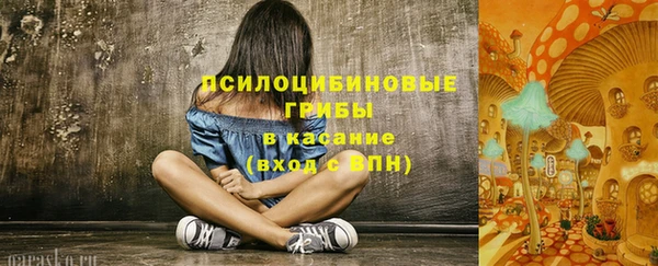 героин Алексин