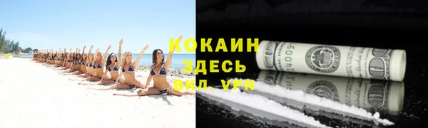 гидропоника Алзамай