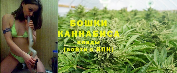 гидропоника Алзамай
